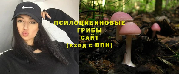 спайс Аркадак
