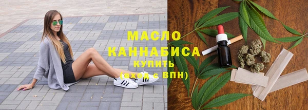 индика Армянск
