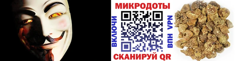 Псилоцибиновые грибы Psilocybe  хочу   мега ссылки  Сясьстрой 
